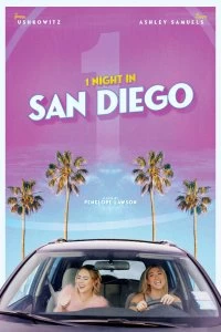 Постер Одна ночь в Сан-Диего (1 Night in San Diego)