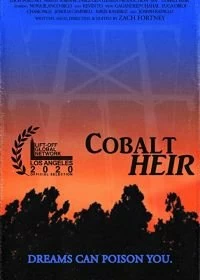 Постер Наследник кобальта (Cobalt Heir)