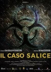 Постер Дело Саличе (Il caso Salice)