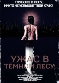 Постер Ужас в тёмном лесу (Terror at Black Tree Forest)