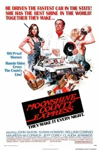 Постер Экспресс в Лунном округе (Moonshine County Express)