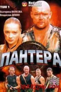 Сериал Пантера — постер