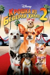 Постер Крошка из Беверли-Хиллз 2 (Beverly Hills Chihuahua 2)