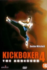 Постер Кикбоксер 4: агрессор (Kickboxer 4: The Aggressor)