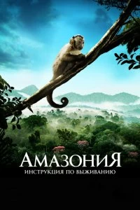 Постер Амазония: Инструкция по выживанию (Amazonia)