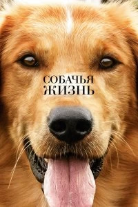 Постер Собачья жизнь (A Dog's Purpose)