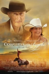 Постер Ковбойши и ангелы (Cowgirls 'n Angels)