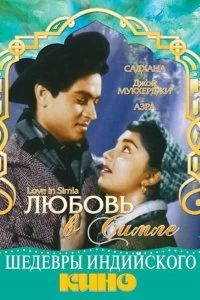 Постер Любовь в Симле (Love in Simla)