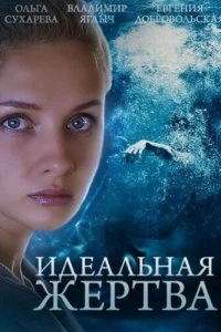 Сериал Идеальная жертва — постер