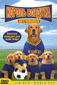 Постер Король воздуха: Лига чемпионов (Air Bud: World Pup)