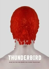 Постер Громовая птица (Thunderbird)