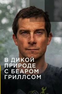 Сериал В дикой природе с Беаром Гриллсом — постер