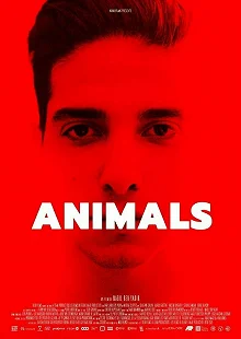 Постер Животные (Animals)