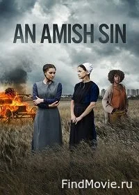 Постер Грех амишей (An Amish Sin)