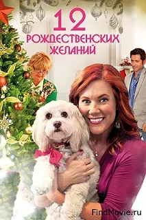 Постер 12 Рождественских желаний (12 Wishes of Christmas)