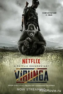 Постер Вирунга (Virunga)