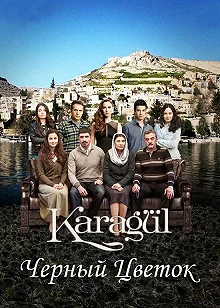 Постер Черный цветок (Karagül)