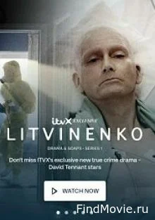 Сериал Литвиненко — постер