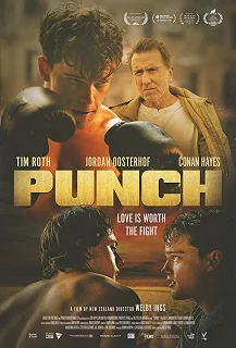 Постер Удар (Punch)