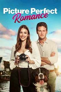 Постер Идеальный роман (Picture Perfect Romance)