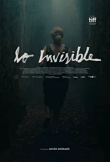 Постер Невидимая (Lo invisible)