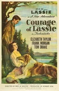 Постер Храбрость Лэсси (Courage of Lassie)