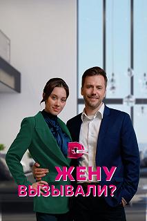 Сериал Жену вызывали? — постер