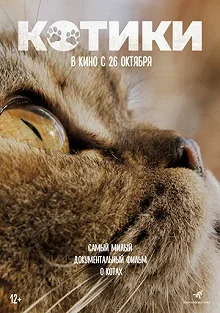 Постер Котики (Cat Daddies)