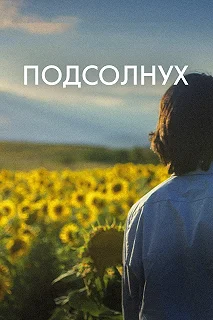 Постер Подсолнух (Sunflower)