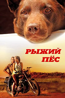 Постер Рыжий пес (Red Dog)