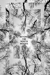 Постер За Северным лесом (Beyond the North Woods)