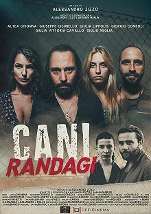 Постер Бродячие псы (Cani randagi)