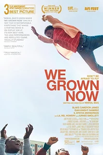 Постер Руководство по расставаниям (We Grown Now)