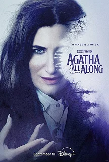 Постер Это всё Агата (Agatha All Along)