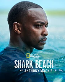 Постер Акулий пляж с Энтони Маки: Мексиканский залив (Shark Beach with Anthony Mackie. Gulf Coast)