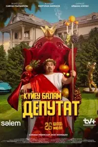 Сериал Зять депутат — постер