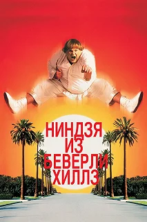 Постер Ниндзя из Беверли Хиллз (Beverly Hills Ninja)